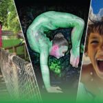 Miami: Jungle Island General Admission Ticket - What Do Visitors Say? Authentic Insights