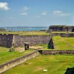 Mirissa Whale watching, Stilt Fishing & Turtle Tour From Colombo - The Value Proposition