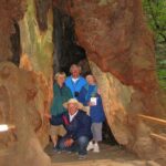 Muir Woods Forest Morning and Afternoon Private Tours - What Makes This Tour Stand Out