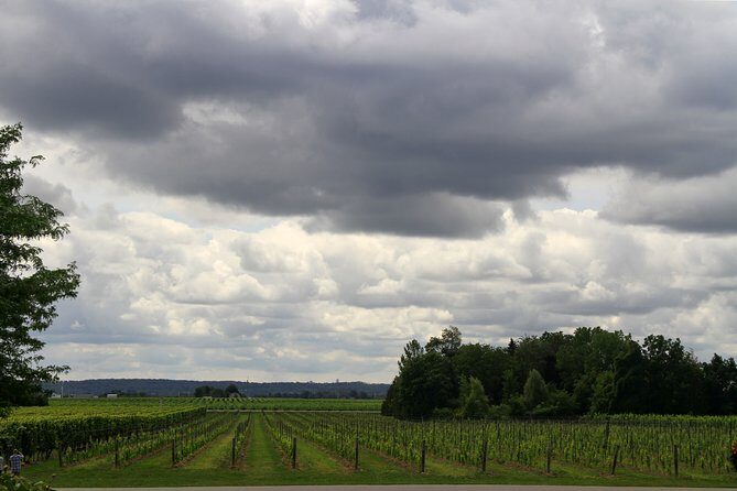 Napa & Sonoma Wine Tour Private Tours 8 to 10 Hours max 14 pax - Why Choose This Tour?
