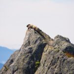 North Cascades Full Day Private Tour and Hike - An In-Depth Look at the North Cascades Full Day Tour
