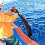 Oahu's Unique Whale Watching and Fishing Charter - The Value of the Experience
