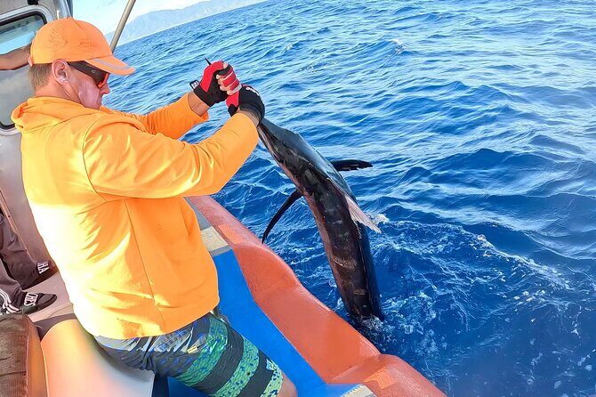 Oahu's Unique Whale Watching and Fishing Charter - The Value of the Experience