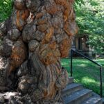 Old Louisvilles Famous Ghosts Smartphone Guided Walking Tour - Final Thoughts: Who Will Love This Tour?