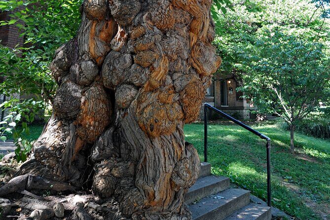 Old Louisvilles Famous Ghosts Smartphone Guided Walking Tour - Final Thoughts: Who Will Love This Tour?  