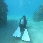Private Guided Shore Dive - FAQ