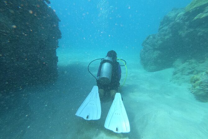 Private Guided Shore Dive - FAQ