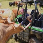 Private Off Road Explorer's Tour - Who Will Enjoy This Tour Most?