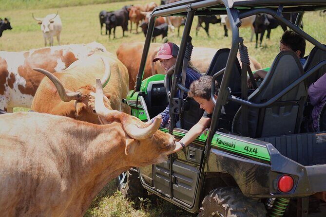 Private Off Road Explorer's Tour - Who Will Enjoy This Tour Most?