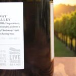 Private Sustainable Wine Tour in Oregon (Willamette Valley) - The Stops – What Youll Experience