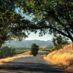 Private Tour Napa and Sonoma Valley Wine - Final Thoughts: Is This the Right Choice for You?