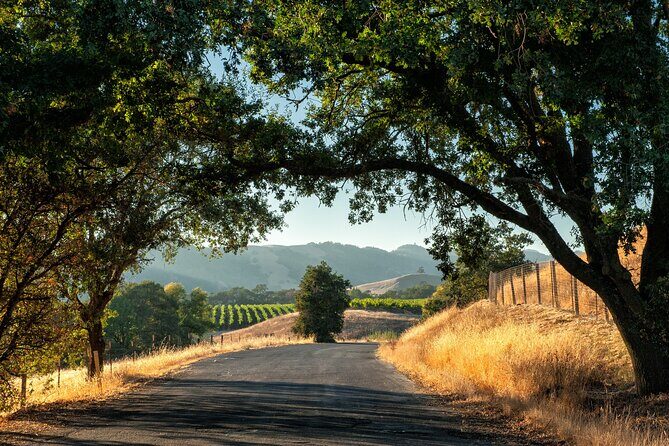 Private Tour Napa and Sonoma Valley Wine - Final Thoughts: Is This the Right Choice for You?