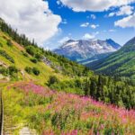 Private Tour Skagway City & Summit - What’s Not Included