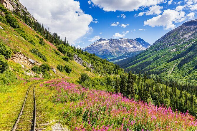 Private Tour Skagway City & Summit - What’s Not Included