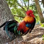 Private Walking Food Tour in Tampa - Whats Included and Practicalities
