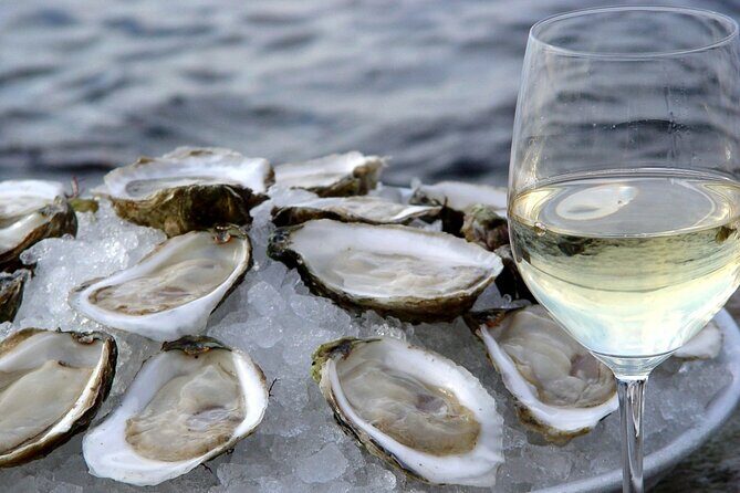 Providence Wine & Brine Boat Cruises - Authentic Insights from Past Guests