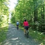 Public | Small Group | Nature & Wildlife Tour Rail Trail| 2-2.5hr - The Sum Up