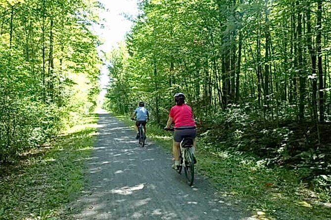 Public | Small Group | Nature & Wildlife Tour Rail Trail| 2-2.5hr - The Sum Up