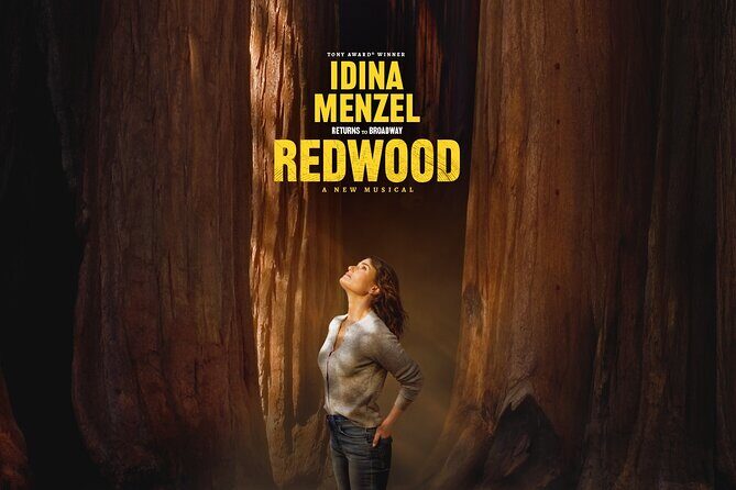 Redwood Starring Idina Menzel on Broadway Ticket - The Show: What to Expect