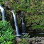 Road to Hana Deluxe Rainforest and Waterfall Experience from Oahu - Detailed Breakdown of the Tour