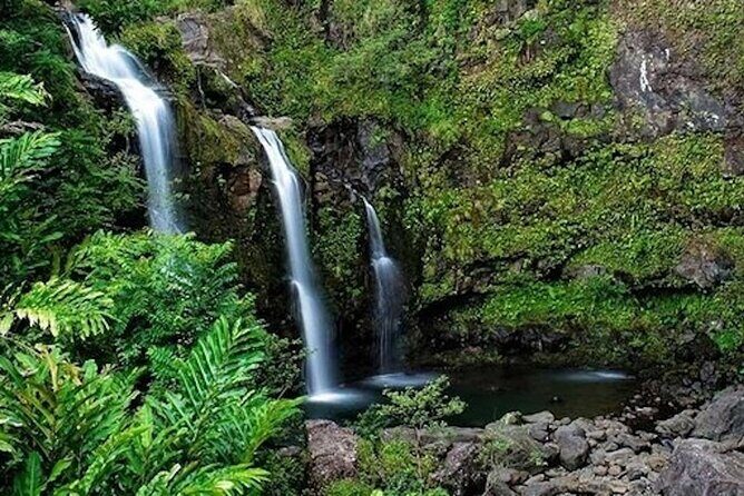 Road to Hana Deluxe Rainforest and Waterfall Experience from Oahu - Detailed Breakdown of the Tour