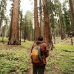 San Francisco to Los Angeles: California Parks Highlights Tour - The Value of This Tour