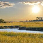 Savannah Coastal Dolphin Eco Tour - Who Is This Tour Best For?