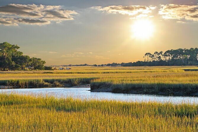 Savannah Coastal Dolphin Eco Tour - Who Is This Tour Best For?