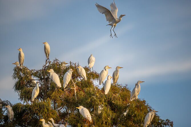 See the real Florida with a Private Nature and Wildlife Boat Tour - Final Thoughts