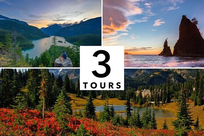 Shaka Guide: Seattle Audio Tour Bundle - What Travelers Say