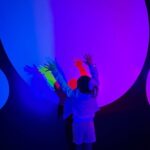 Shared Tour in Miami with Transfer - Exploring the Itinerary in Depth
