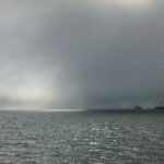 Sick Day Midweek Kayak Tour on Tomales Bay - The Value of the Experience