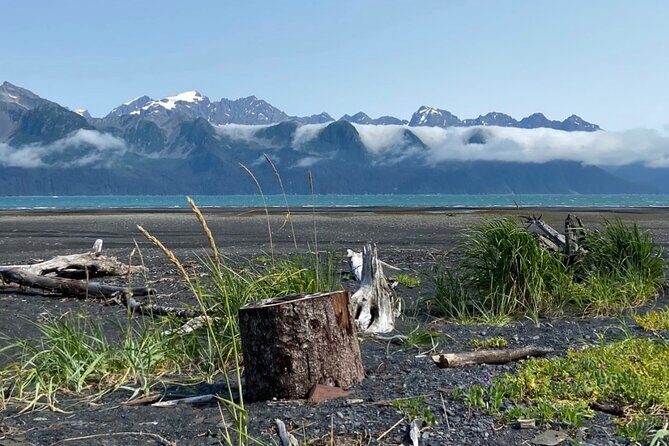 Tonsina Beach Hike with Seward Guided Hikes - Why You’ll Love the Tonsina Beach Hike