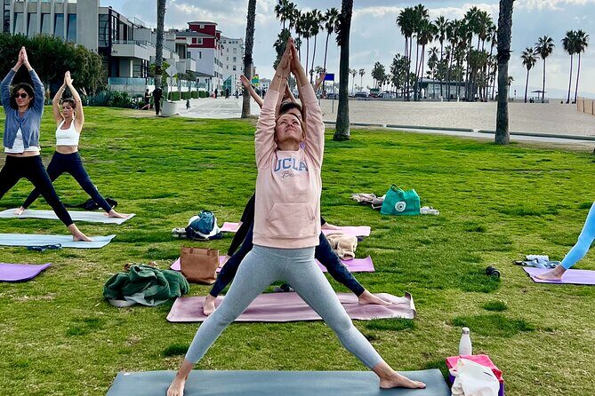Vinyasa Yoga Class on the Beach in Santa Monica in French - The Breakdown of the Class and Experience