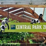 Visit Central Park Zoo & 3h Manhattan Walking Tour - What’s Included and What to Consider