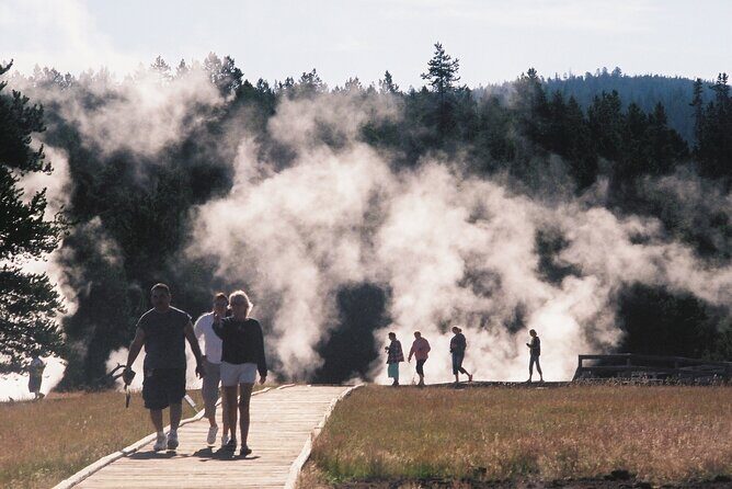 Yellowstone Grand Tour: See All Yellowstone In One Day - Practical Details & What to Expect