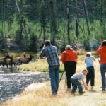 Yellowstone Lower (Southern) Loop Tour - Final Thoughts