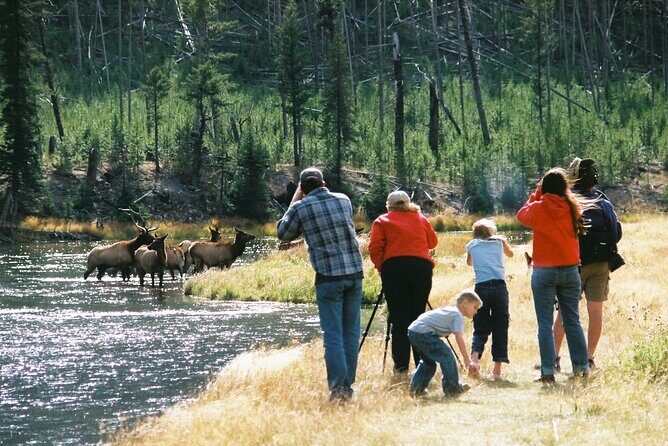 Yellowstone Lower (Southern) Loop Tour - Final Thoughts