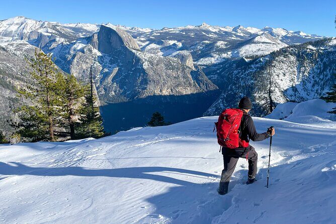 Yosemite Winter Wonderland Guided Hiking or Snowshoeing - Authentic Insights from Reviews
