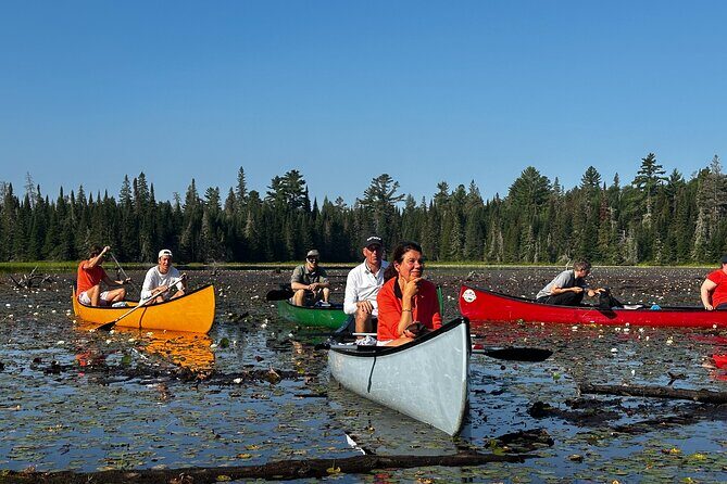 1 Day Canoeing Tour in Algonquin Park - What’s Included and What’s Not