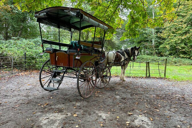 1 Hour Guided Carriage Tour in Killarney National Park - Who Should Book This Tour?