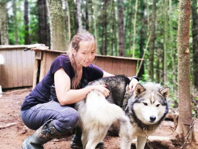 15 min. Tadoussac : Behind-the-Scenes Sled Dog Kennel Tour - What to Expect from the Experience