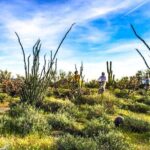 2-Hour Arizona Desert Guided E-Bike Tour - Final thoughts: is it worth it?