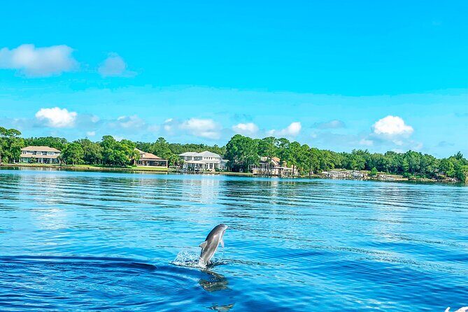 2 Hours Guided Dolphin Tour in Florida - Practical Details and Tips