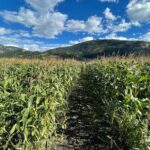 4 Days Canadian Rockies Fall/Spring Tour - Why This Tour Delivers Great Value