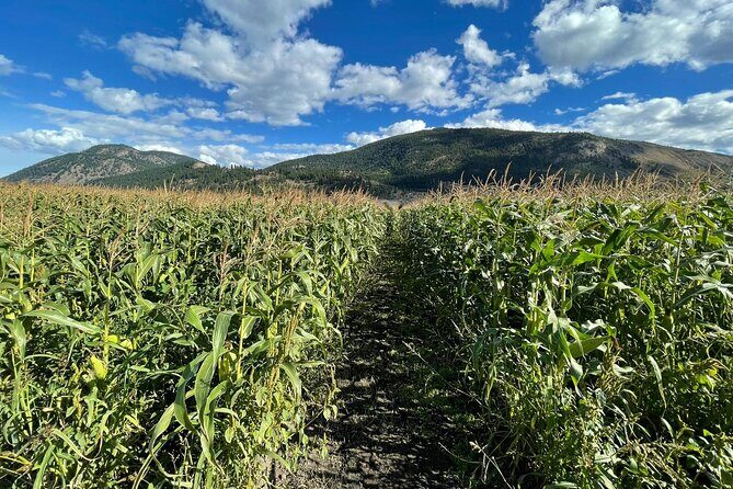 4 Days Canadian Rockies Fall/Spring Tour - Why This Tour Delivers Great Value