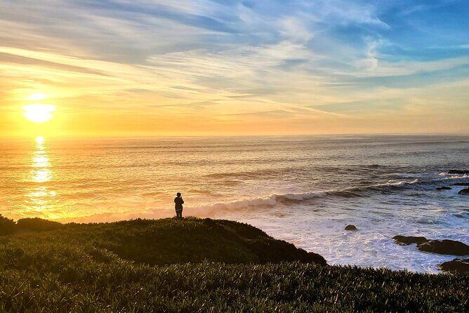 A Self-Guided Audio Tour Around Bodega Head - A Deep Dive into the Bodega Head Experience