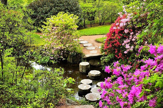 Acadia National Park Bass Harbor Lighthouse Private Driving Tour - Who Should Consider This Tour?