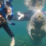 All Inclusive Private Manatee Swim - Why This Tour Excels