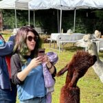 Alpaca Picnic - Immersive Animal Encounter - Seattle Experience - Final Thoughts